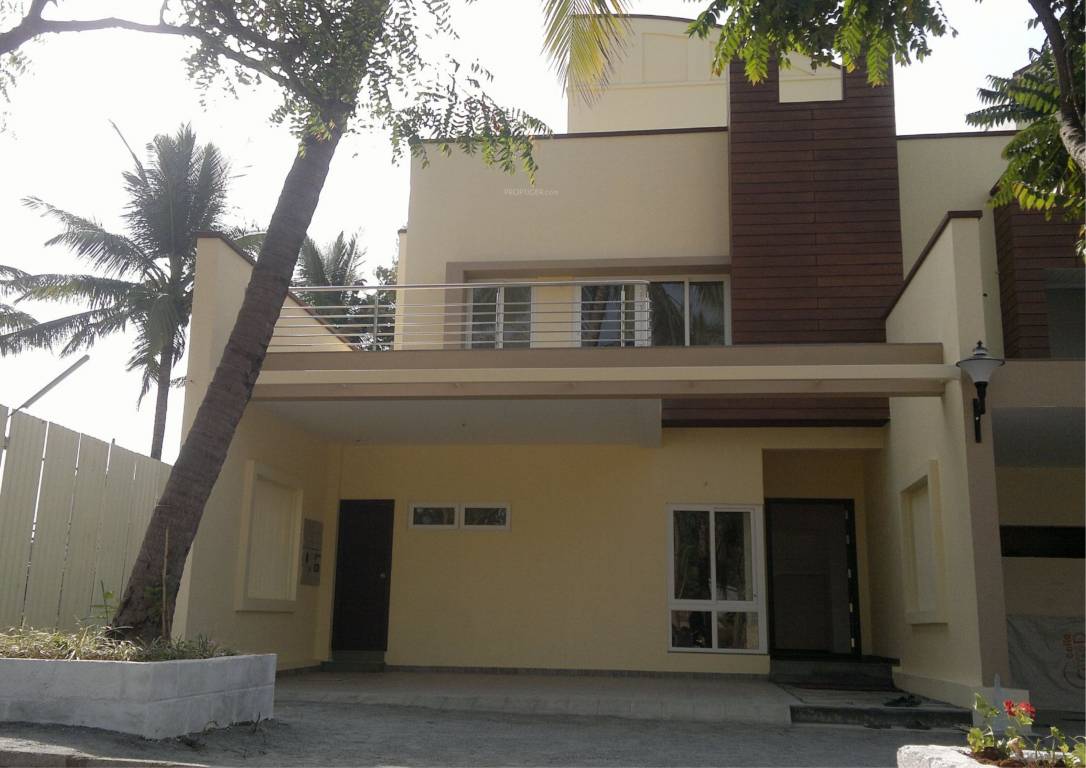  grasshopper Images for Elevation of Chartered Grasshopper