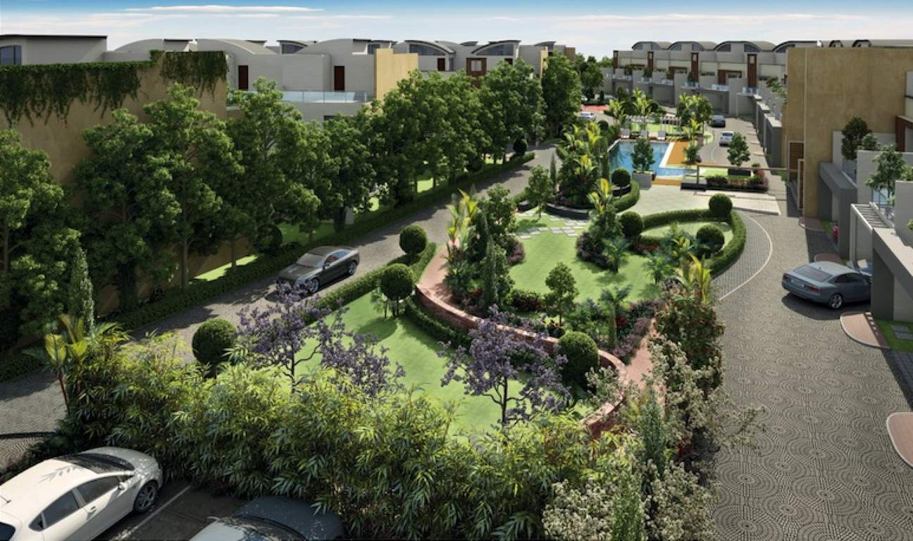  grasshopper Images for Amenities of Chartered Grasshopper