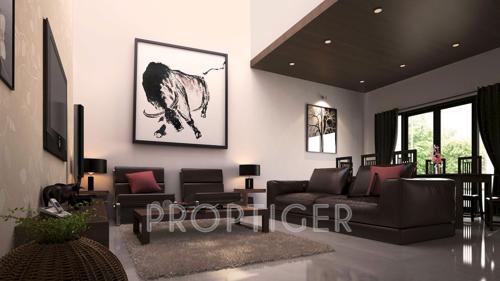  grasshopper Images for Main Other of Chartered Grasshopper