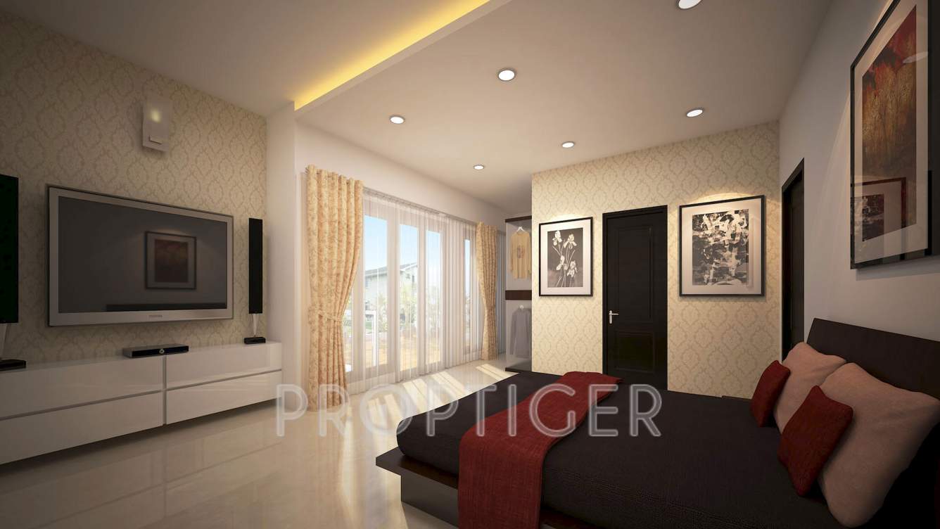  grasshopper Images for Main Other of Chartered Grasshopper