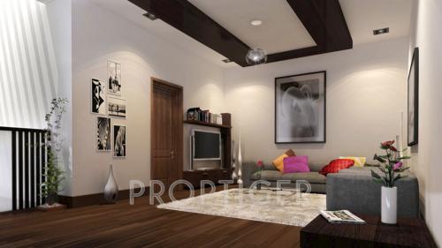  grasshopper Images for Main Other of Chartered Grasshopper