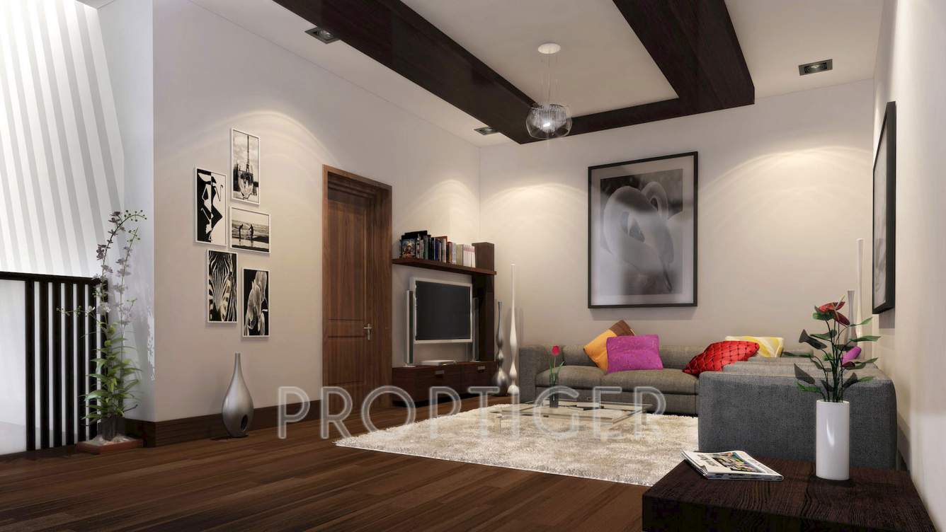  grasshopper Images for Main Other of Chartered Grasshopper