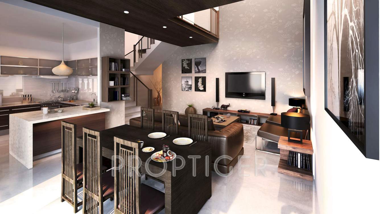  grasshopper Images for Main Other of Chartered Grasshopper