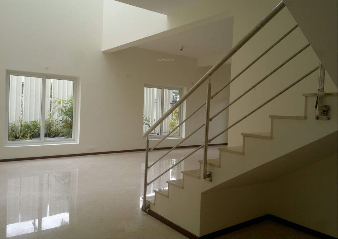  grasshopper Images for Main Other of Chartered Grasshopper