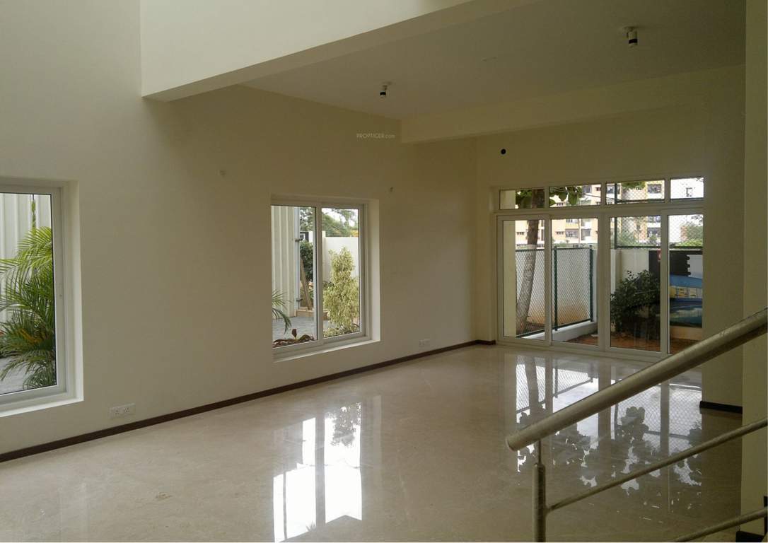  grasshopper Images for Main Other of Chartered Grasshopper