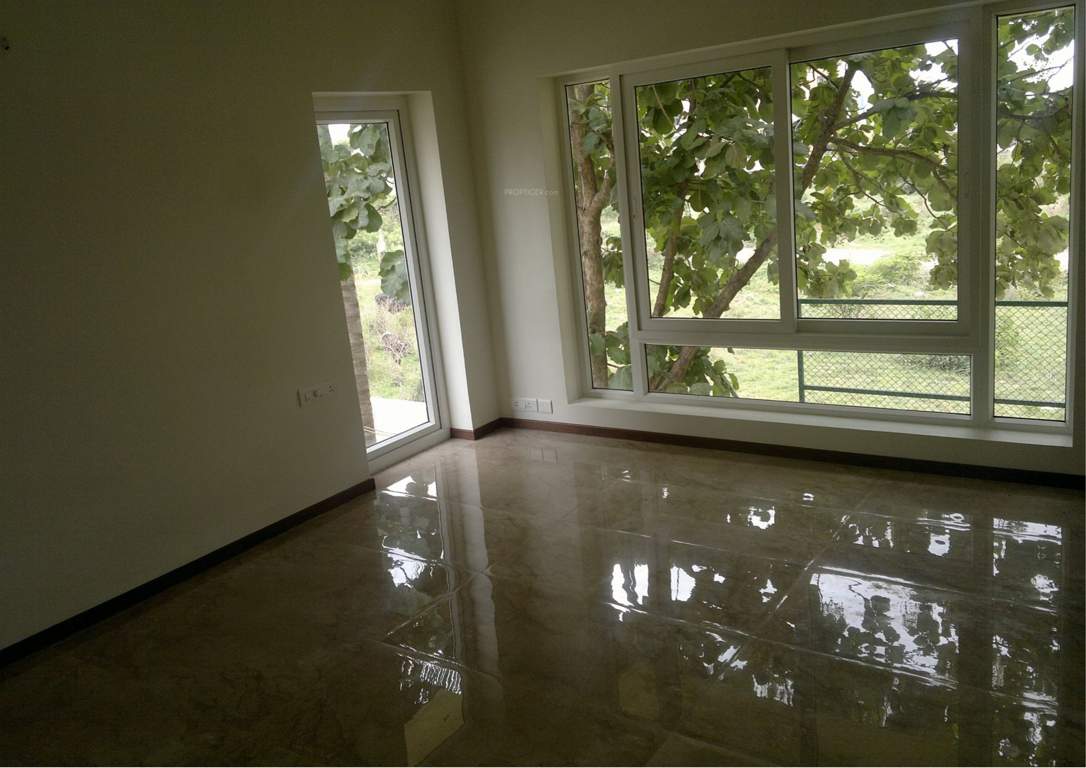  grasshopper Images for Main Other of Chartered Grasshopper