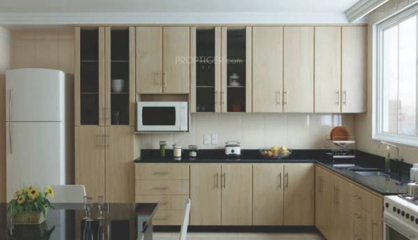 Images for Main Other of AMR Oaks