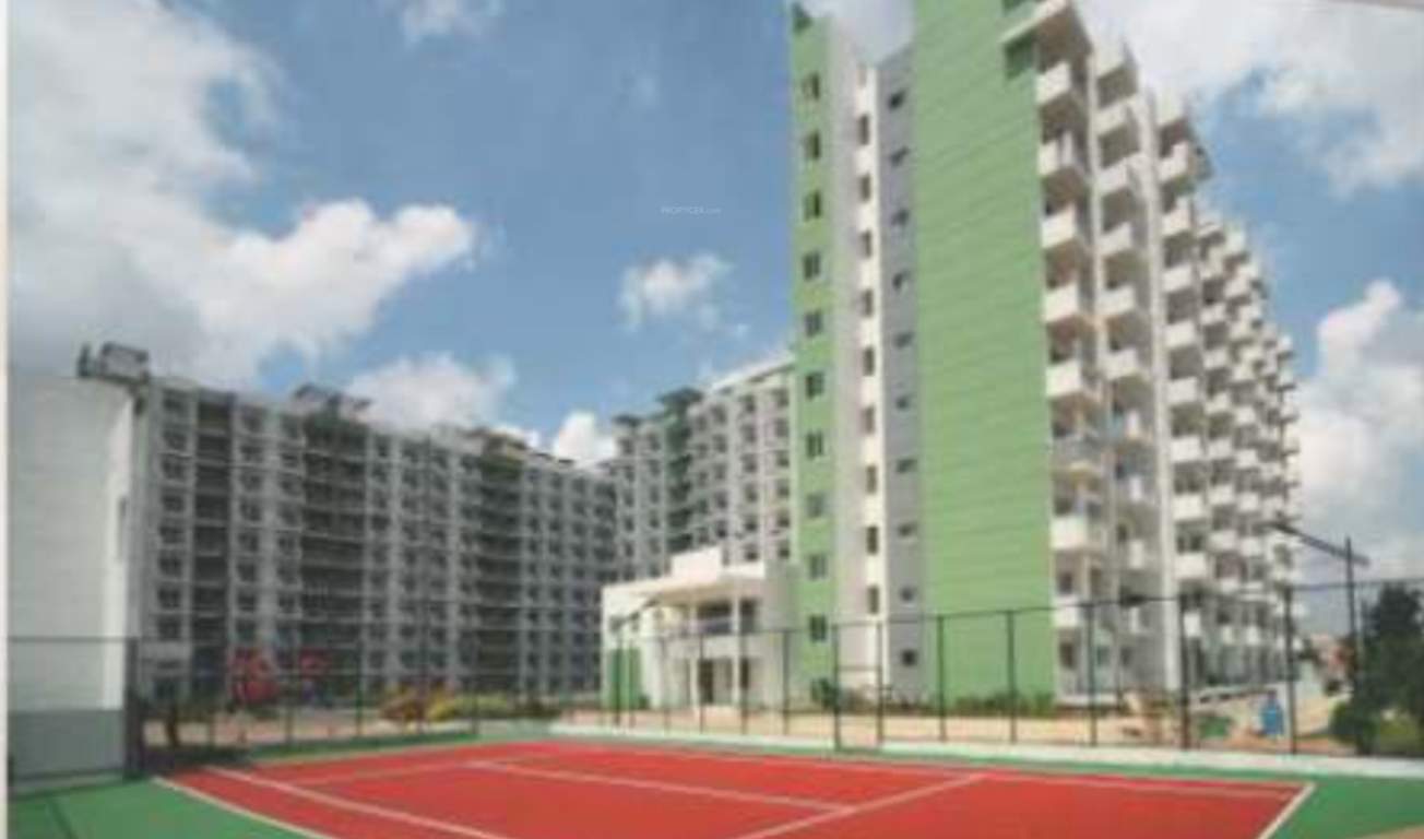  paddington Tennis Court