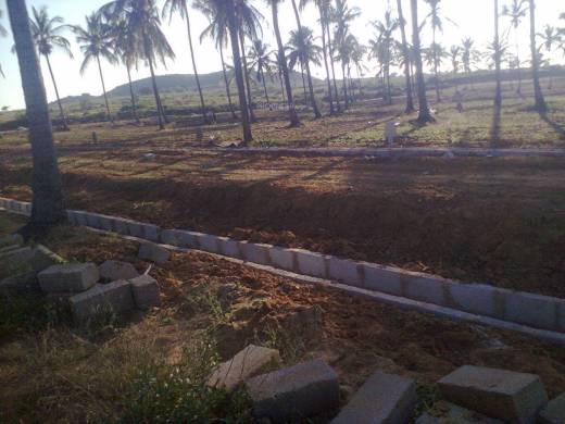 Images for Elevation of MCB Palm Vielle