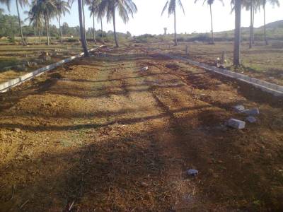 Images for Main Other of MCB Palm Vielle