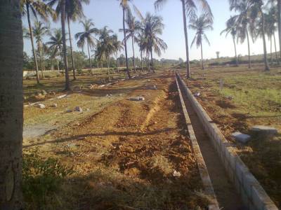 Images for Main Other of MCB Palm Vielle