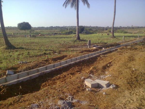 Images for Main Other of MCB Palm Vielle