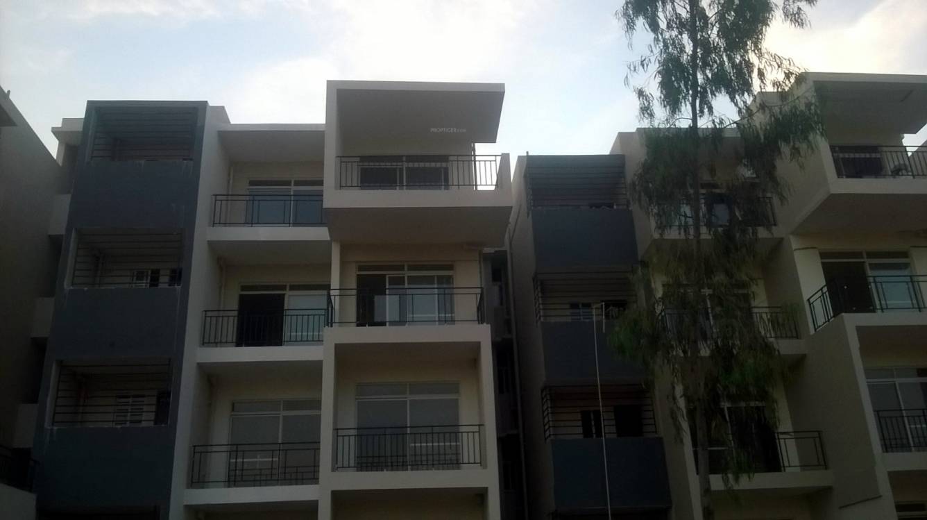 Images for Elevation of Isha Misty Green