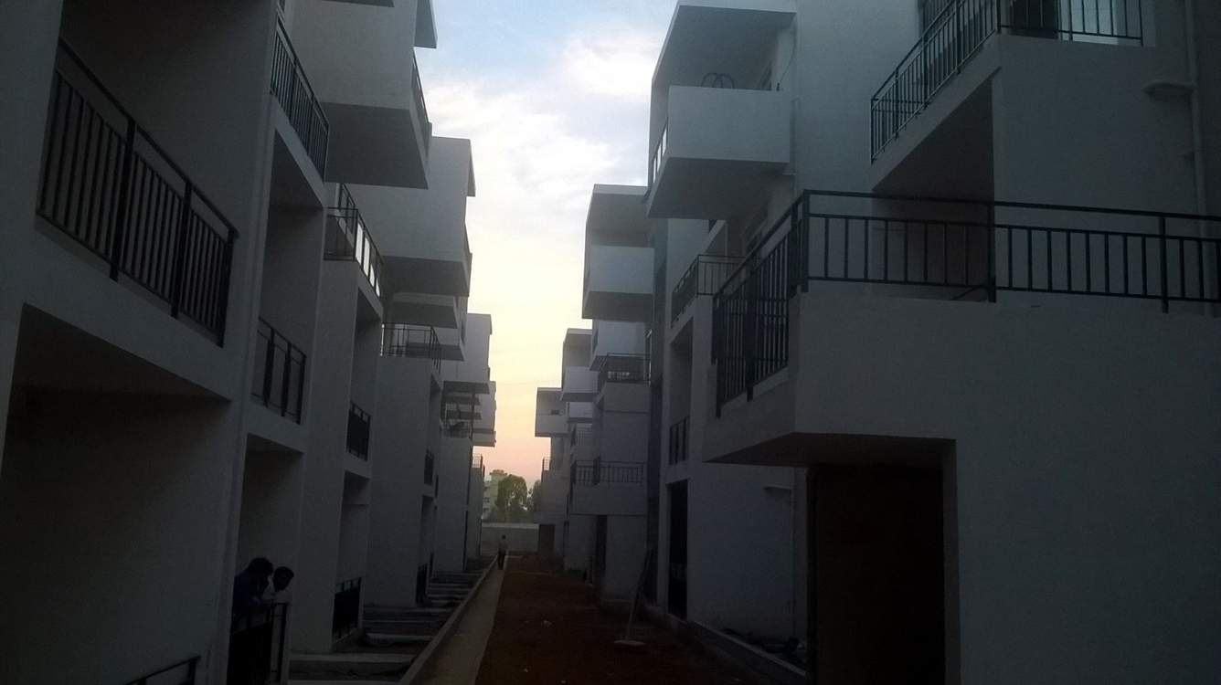  misty green Images for Elevation of Isha Misty Green