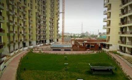 gold homz Landscaped Gardens