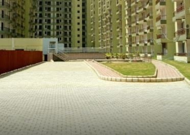 gold homz Paved Compound