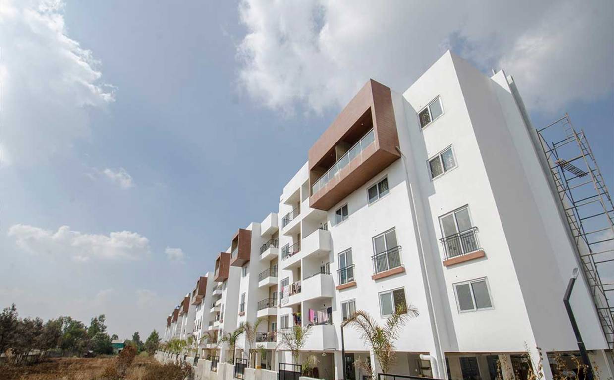 Images for Elevation of Concorde Amber