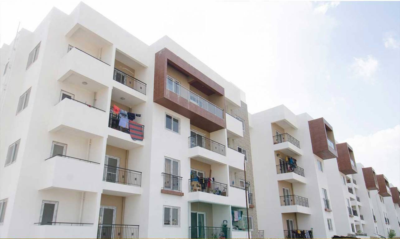 Images for Elevation of Concorde Amber