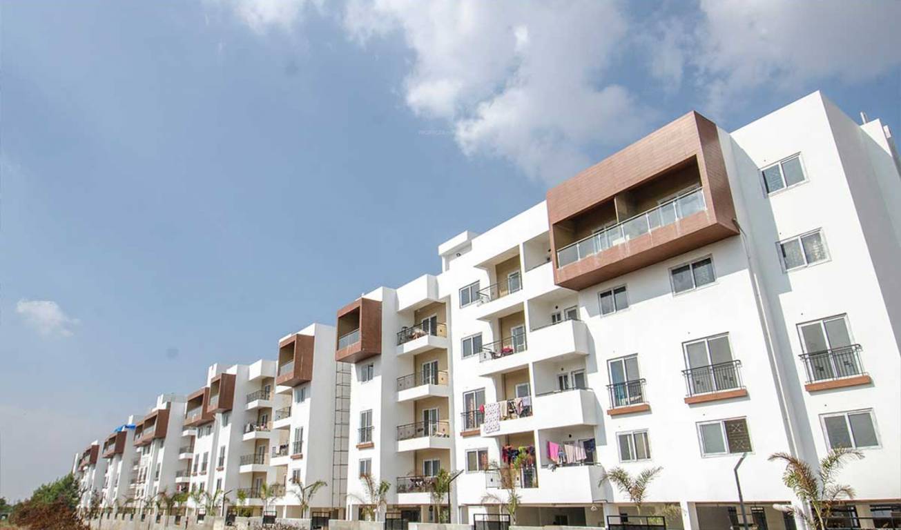 Images for Elevation of Concorde Amber