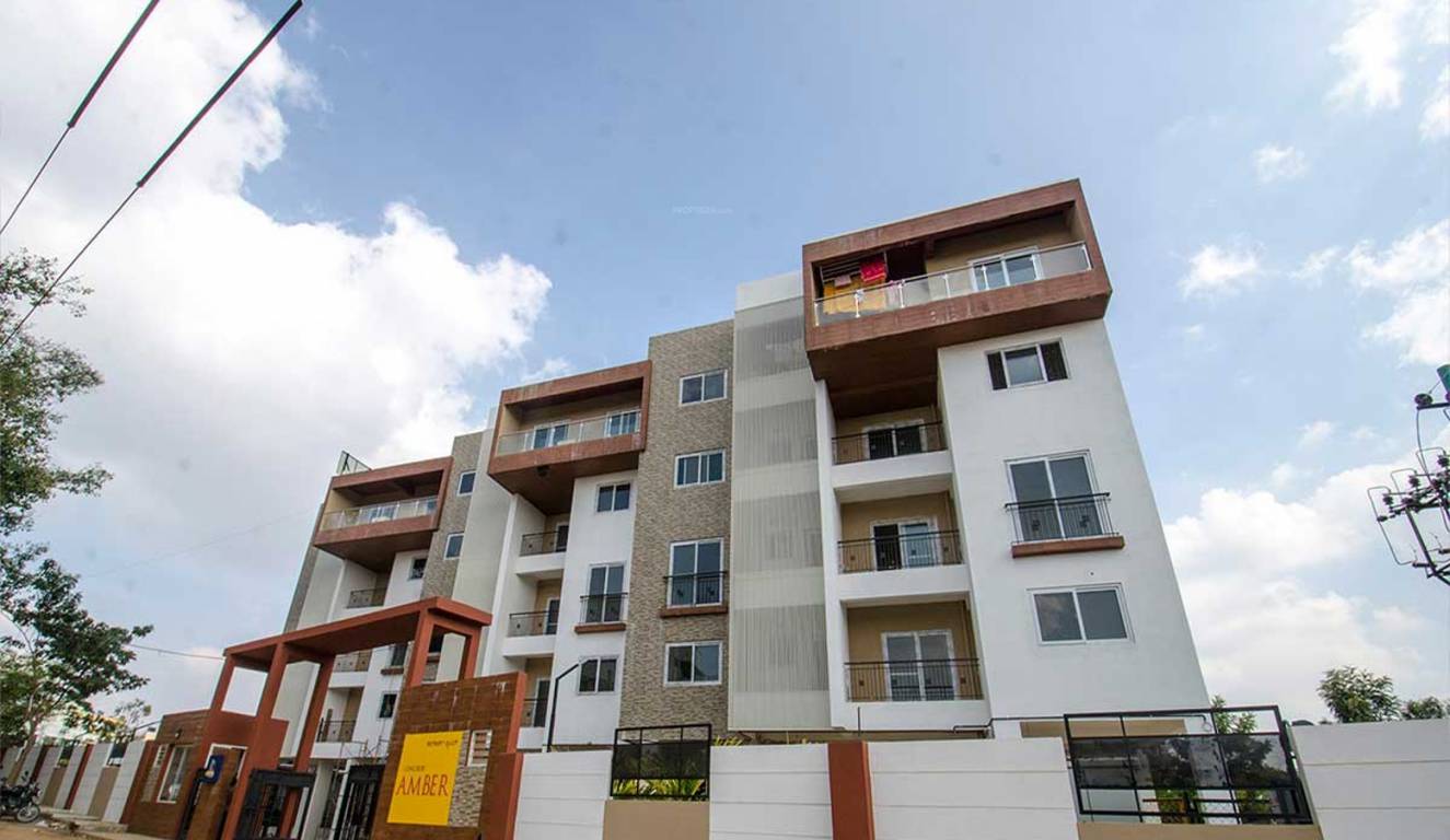 Images for Elevation of Concorde Amber