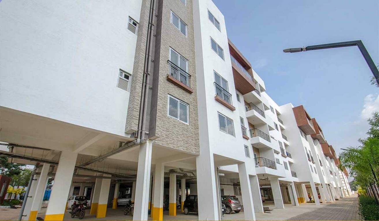 Images for Elevation of Concorde Amber