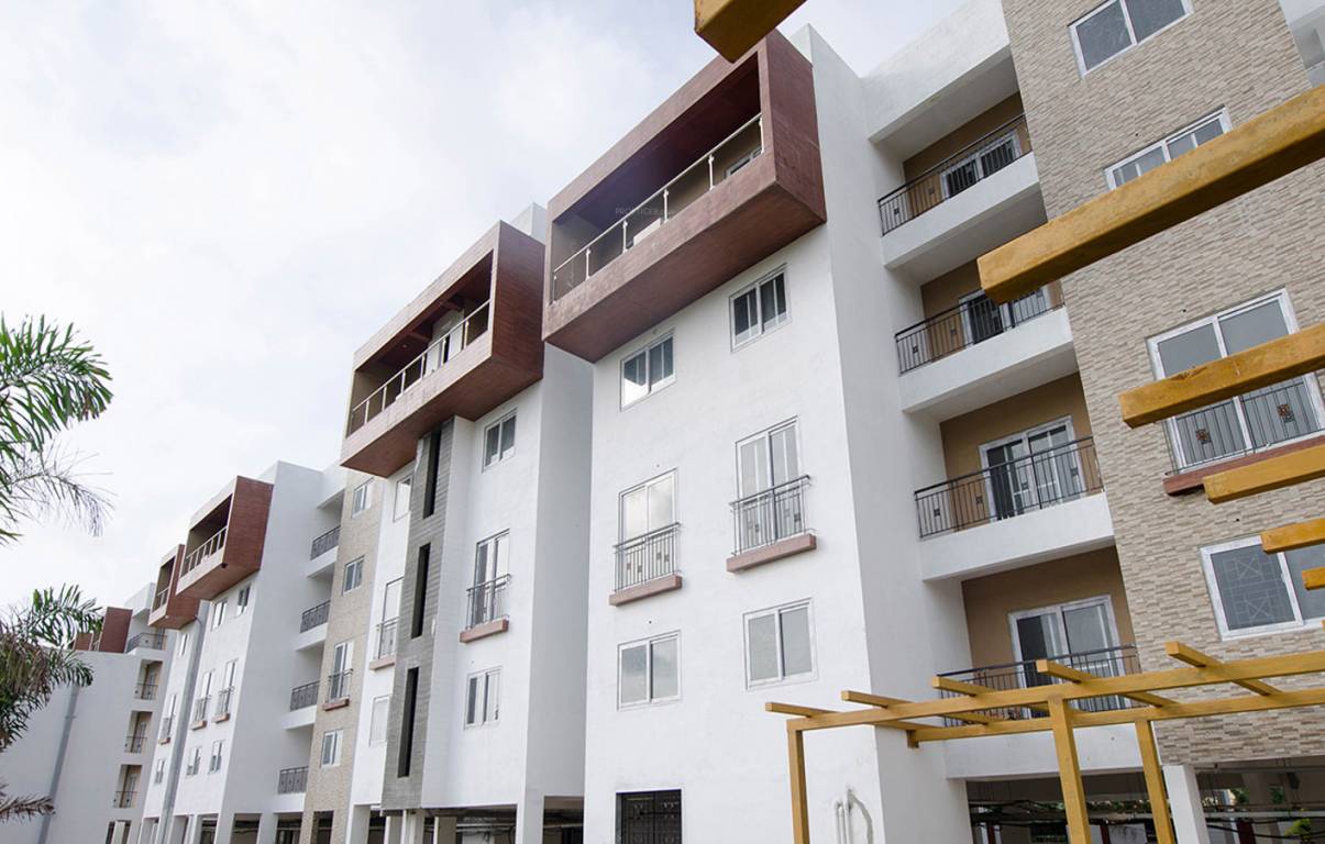 Images for Elevation of Concorde Amber