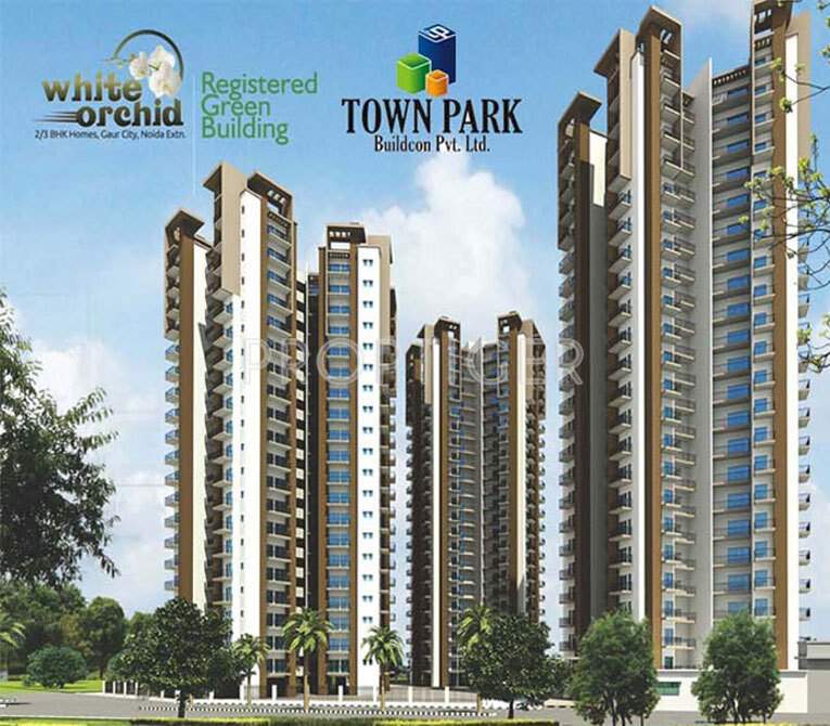 white orchid Images for Elevation of Town White Orchid