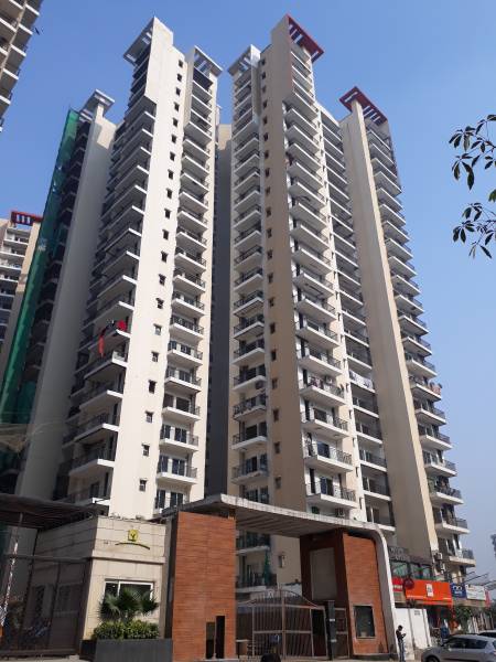  white-orchid Images for Project