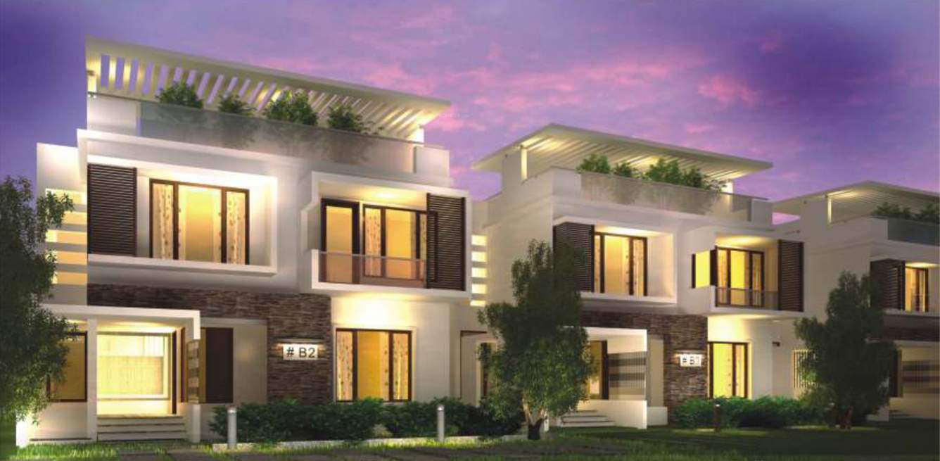  paradiso Images for Elevation of Zonasha Paradiso