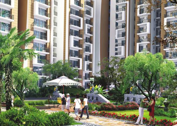 Images for Elevation of Magnum Oasis Green