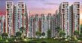 Magnum Group Oasis Green