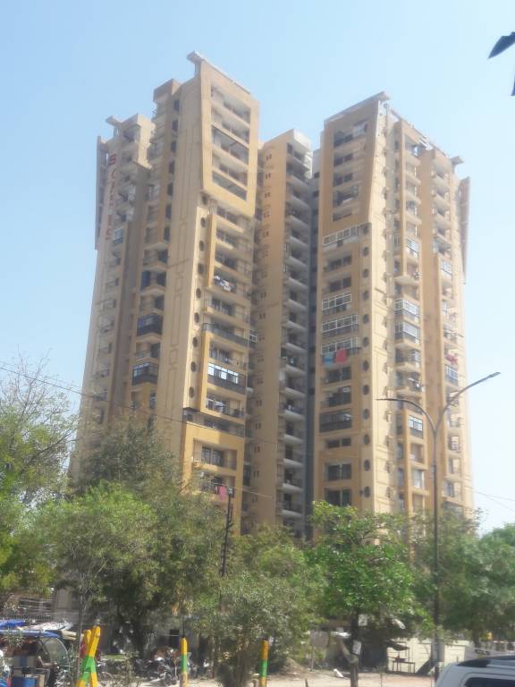 oasis green Images for Project