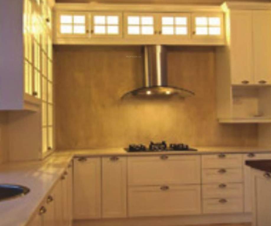 oasis green Images for Main Other of Magnum Oasis Green