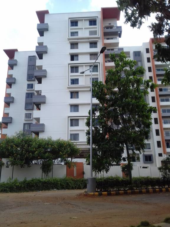  woods Images for Project