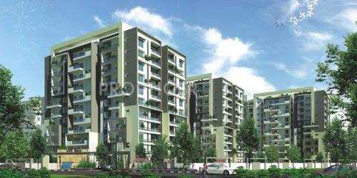 Images for Elevation of VRR Nest nest Images for Elevation of VRR Nest