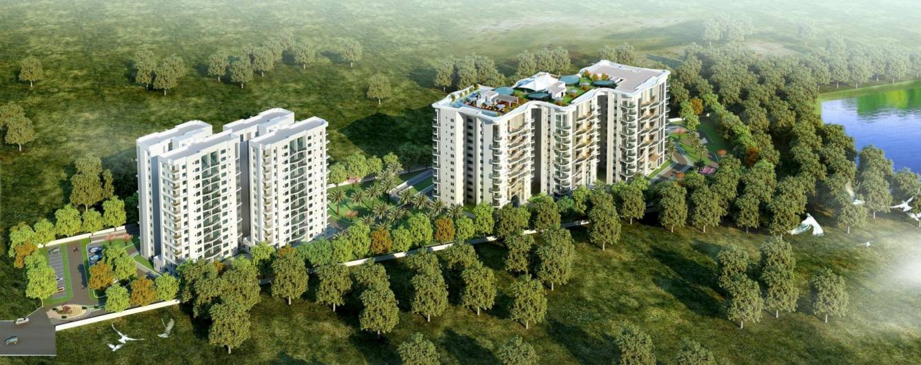 Images for Elevation of The Address The Five Summits