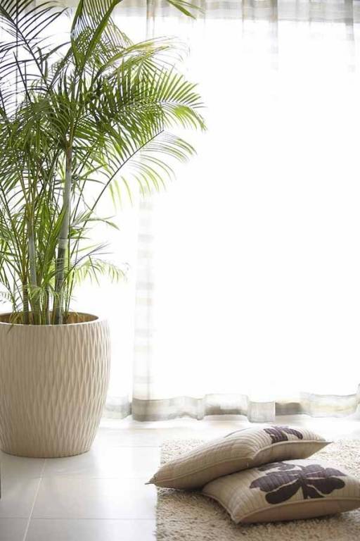 Images for Main Other of Marvel Aeries