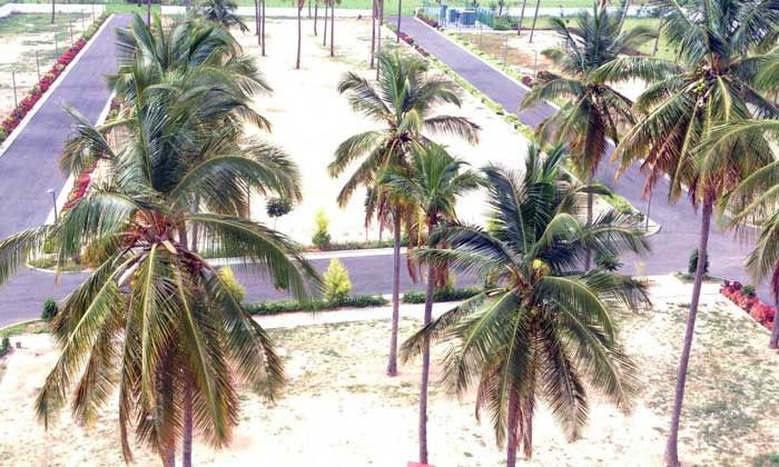 Images for Main Other of Sobha Garden