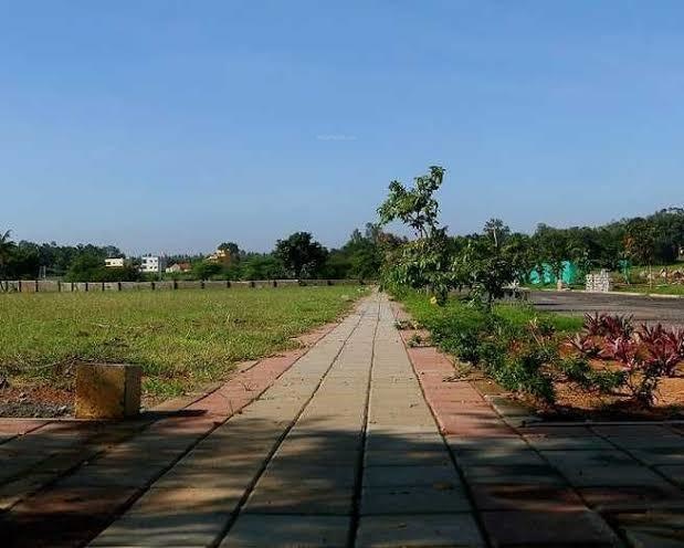  gardenia Images for Project