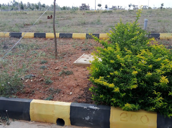 Images for Project gardenia Images for Project