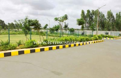  gardenia Landscape Garden and Tree Planting