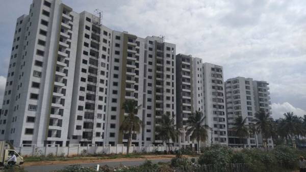  tropical-springs Elevation