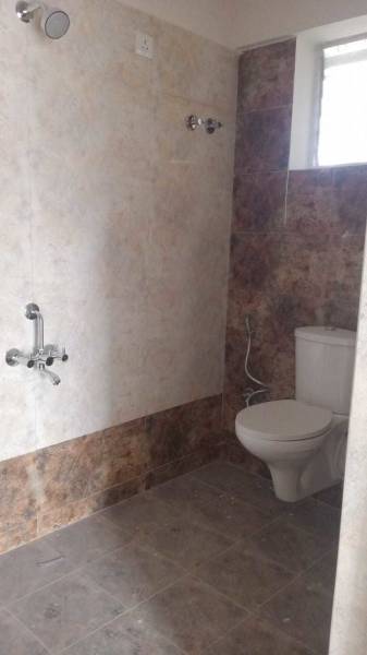  tropical-springs Bathroom