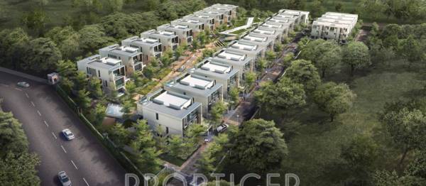 Images for Elevation of Olympia Enchante