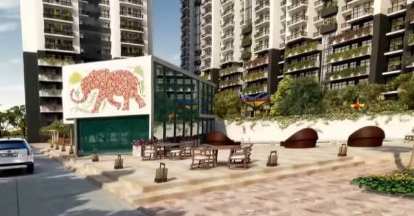  apex-splendour Others