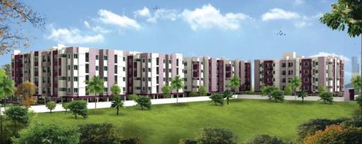 Images for Elevation of Deva Daffodills Images for Elevation of Deva Daffodills