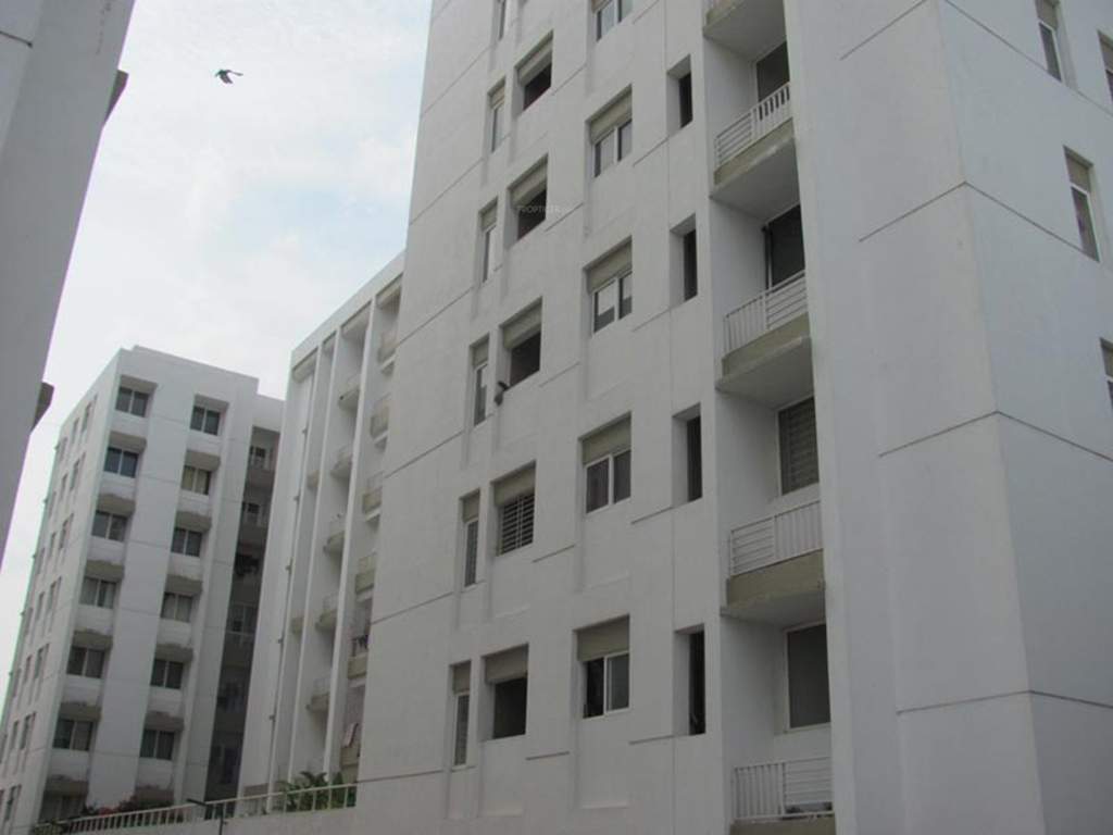  lumina Images for Elevation of Lancor Lumina