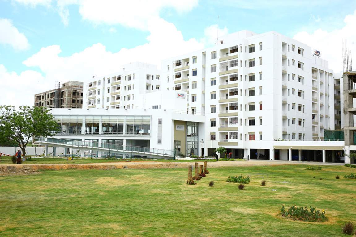  lumina Images for Elevation of Lancor Lumina