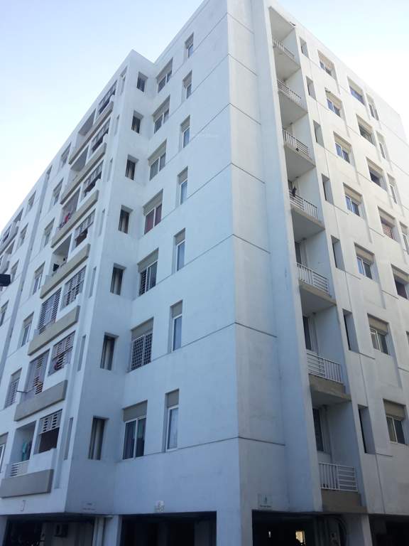  lumina Images for Project