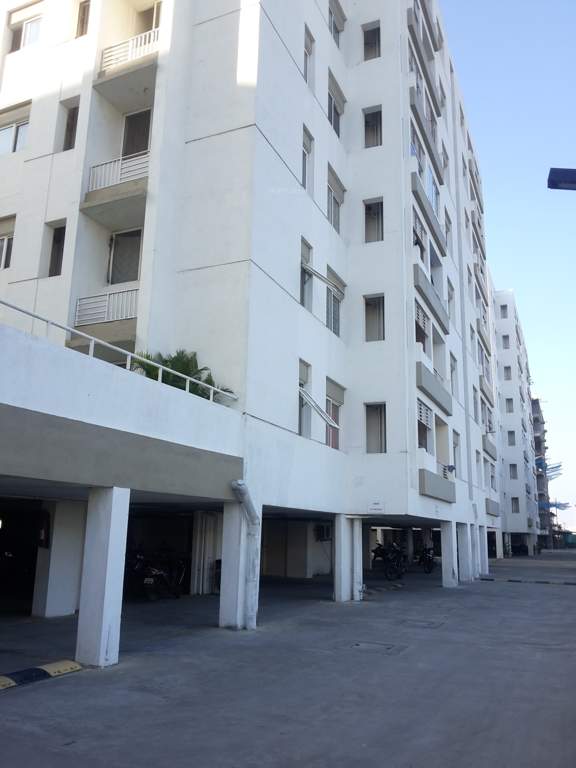  lumina Images for Project